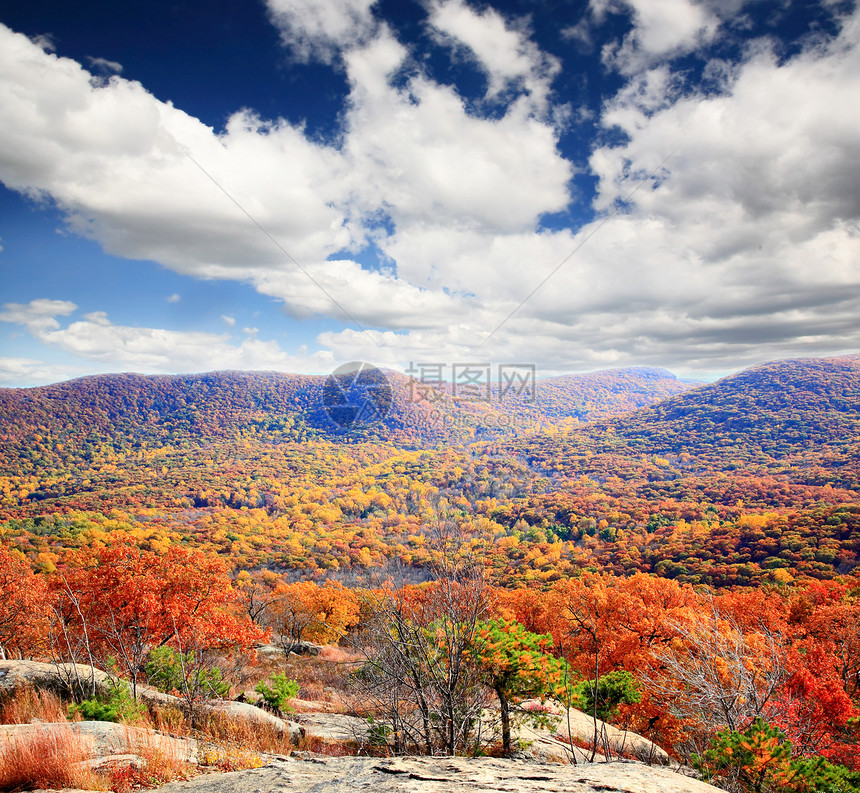 灰熊山顶的叶子景色季节场景橙子蓝色地面公园民众晴天农村娱乐图片