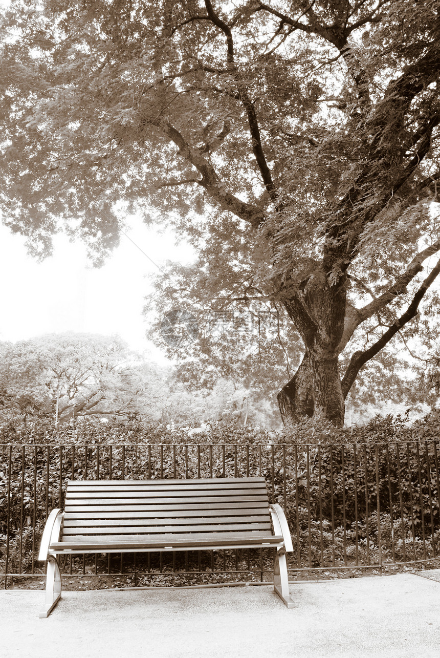 公园里没有人坐着棕色长椅椅子风景放松孤独国家闲暇木头座位场景花园图片