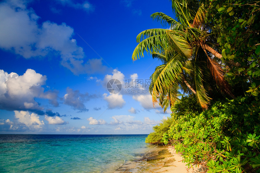马尔代夫的热带天堂蓝色天空海浪海洋游客场景植物太阳叶子棕榈图片