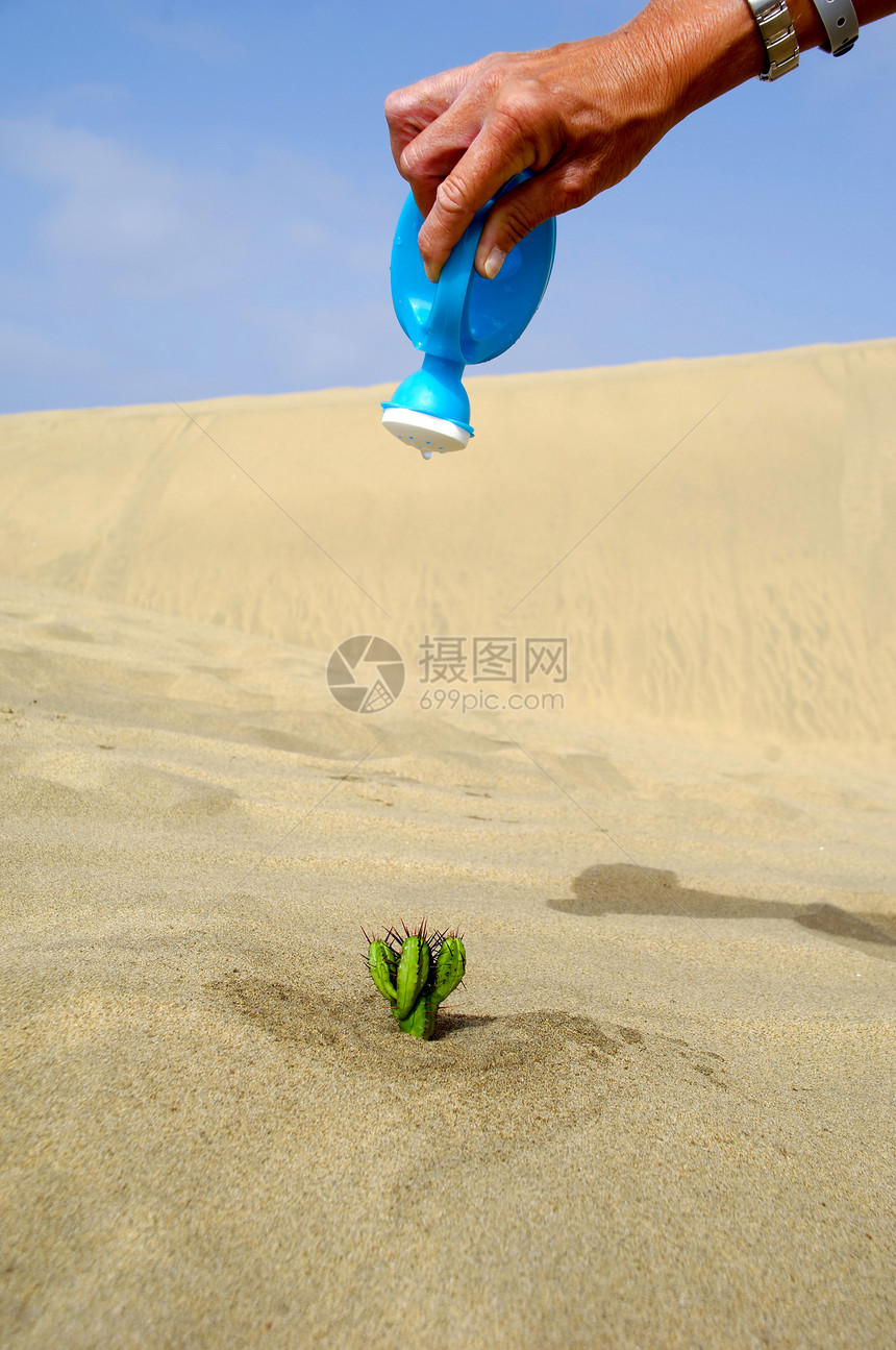 给仙人掌浇水飞溅荒野矿物沙丘植物液体沙漠流动荒地温度图片