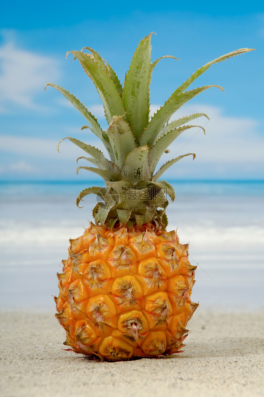 菠萝和异国海滩假期情调生活地平线海浪天堂天空叶子橙子食物图片