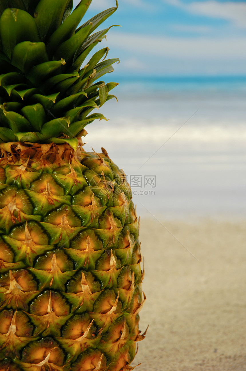 菠萝在奇异的海滩上 蓝色和阴云的天空中食物植物果汁海洋橙子情调旅游假期营养异国图片