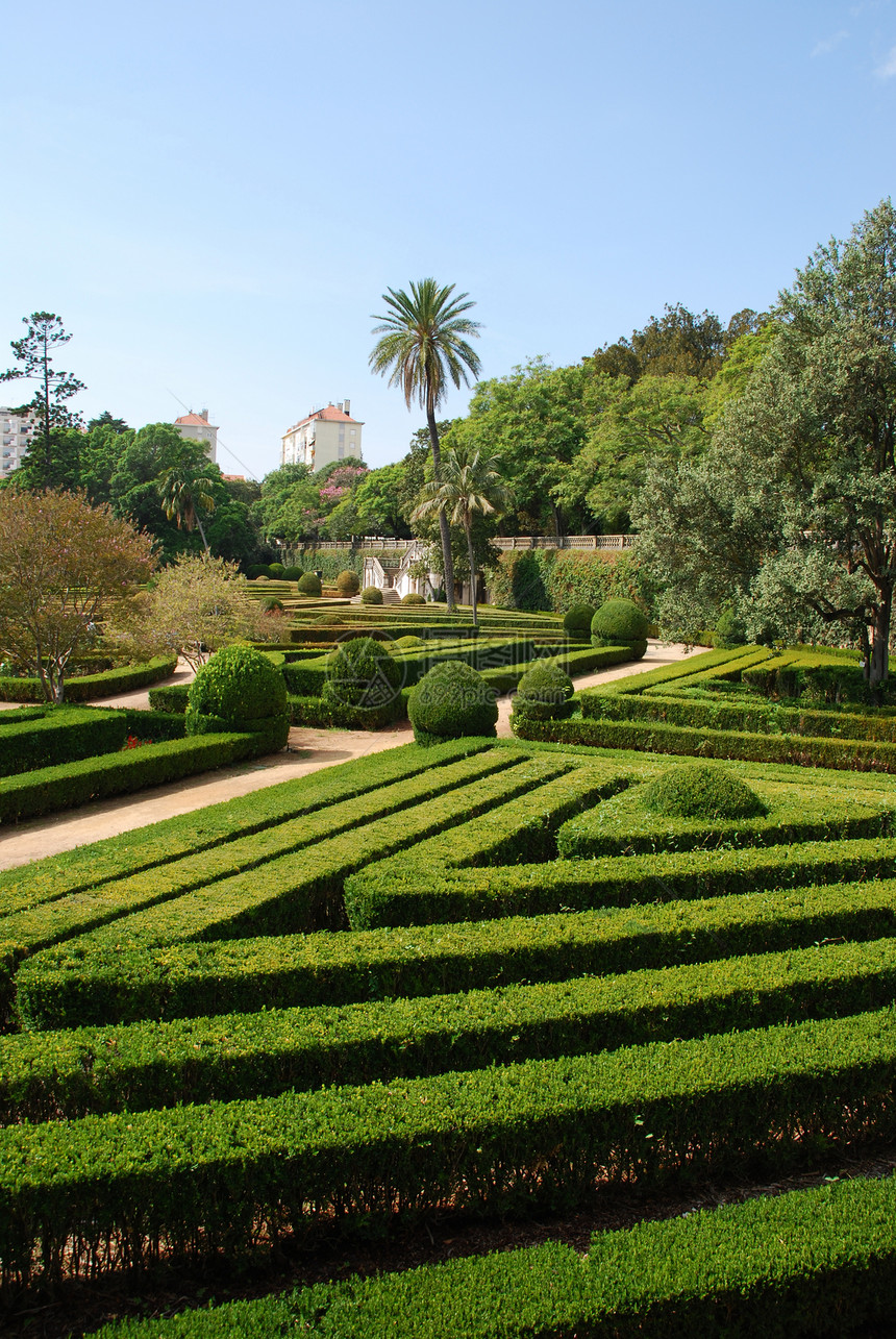 位于葡萄牙里斯本的Ajuda花园曲线蓝色植物车道圆圈叶子树叶植物群场景阴影图片