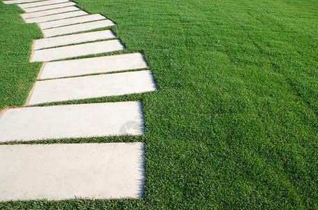 公园草坪上的蛇纹石概念人行道草地踪迹花园曲线乡村环境路线绿色旅行背景图片