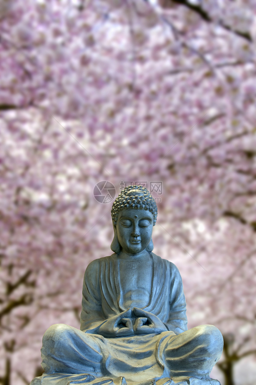 满身佛像和樱花花树坐在一起图片