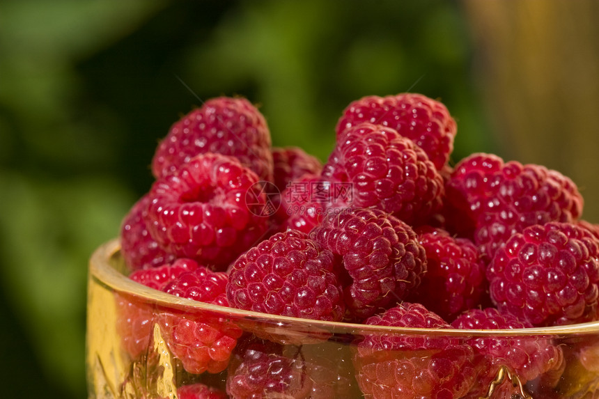 树莓草莓食物玻璃水果宏观营养甜点覆盆子种植图片