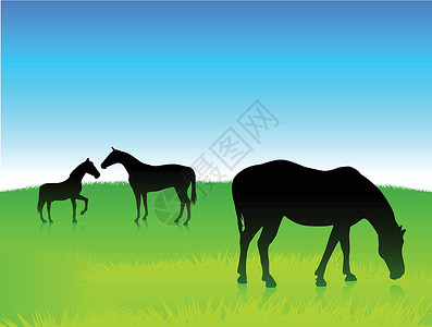 美素佳儿蓝天空背景的绿野中的马匹插画