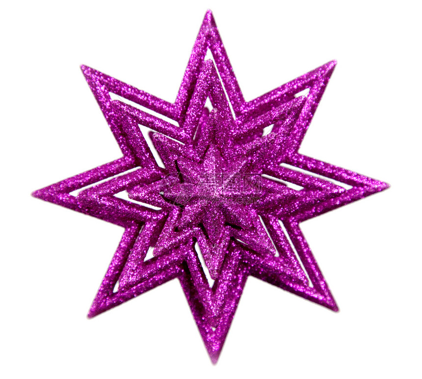 紫紫圣诞星图片