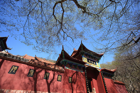 萧县旅游观光景旅行蓝天寺庙风景公园宝塔大树游客宗教森林背景