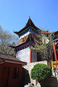 旅游观光景大树历史游客公园宝塔蓝天旅行宗教森林寺庙背景图片