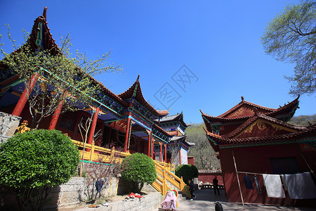 旅游观光景公园蓝天游客宝塔森林建筑风景寺庙历史旅行背景图片