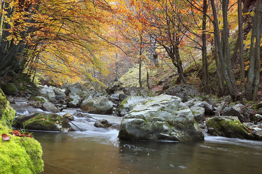 秋季河树叶悬崖风景苔藓林地巨石银行远足冒险岩石图片