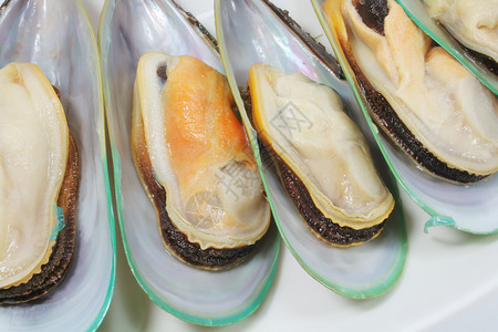 贝壳食物美食盘子蛤蜊贝类海鲜贻贝牡蛎高清图片