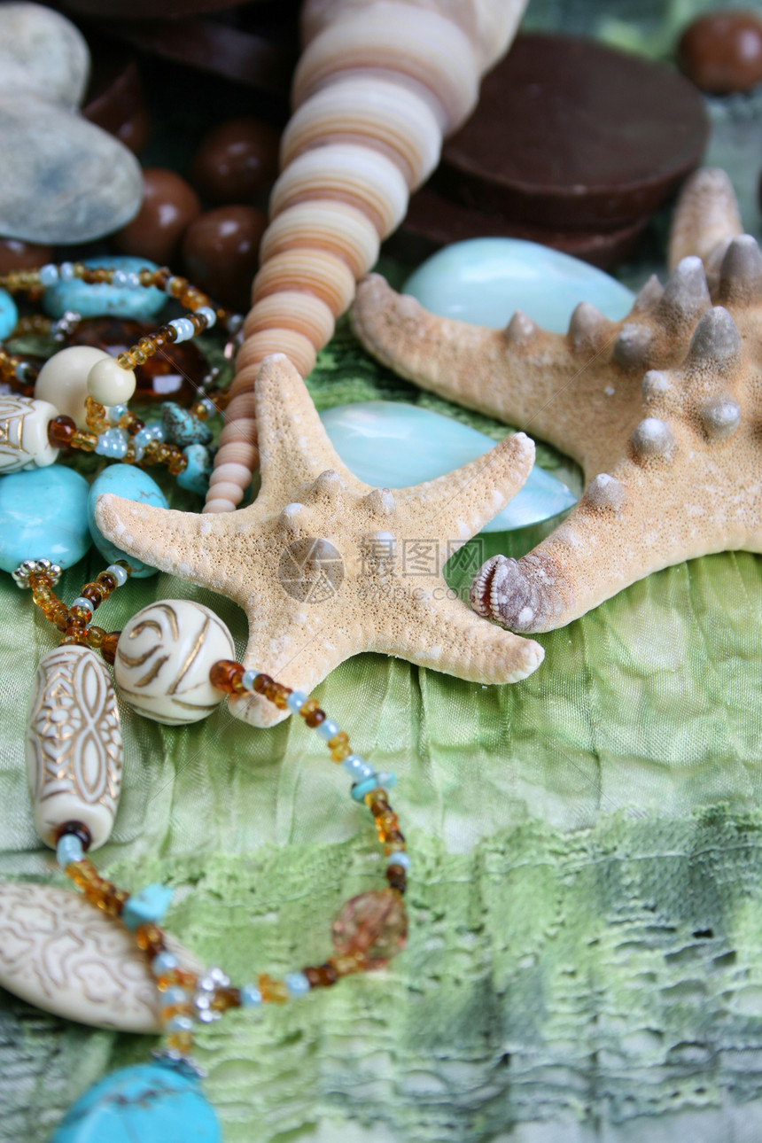 贝壳巧克力项链珠子绿色首饰海星星星蓝色配件织物图片