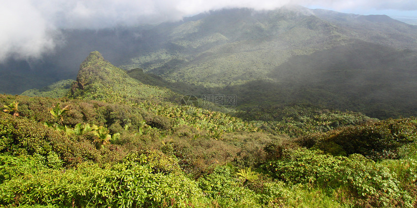El Yunque雨林波多黎各森林旅游国家天堂生态旅游栖息地热带植被里科敬畏图片