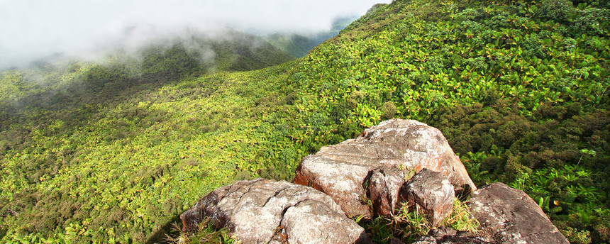 El Yunque雨林波多黎各植被生态旅游薄雾荒野森林栖息地顶峰旅游里科国家图片