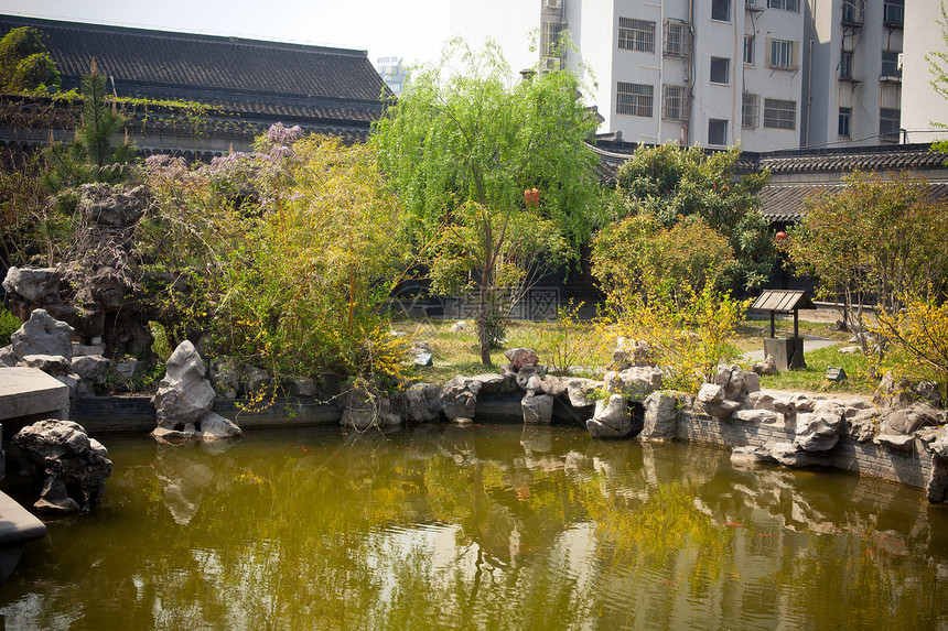 阳州凝胶幼崽区系生活植物园植物公园自然界花园图片