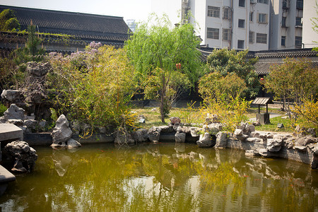 阳州凝胶幼崽区系生活植物园植物公园自然界花园高清图片