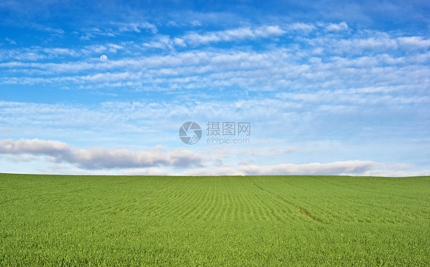 绿地和蓝天空草地国家农场场地乡村场景生长农业图片