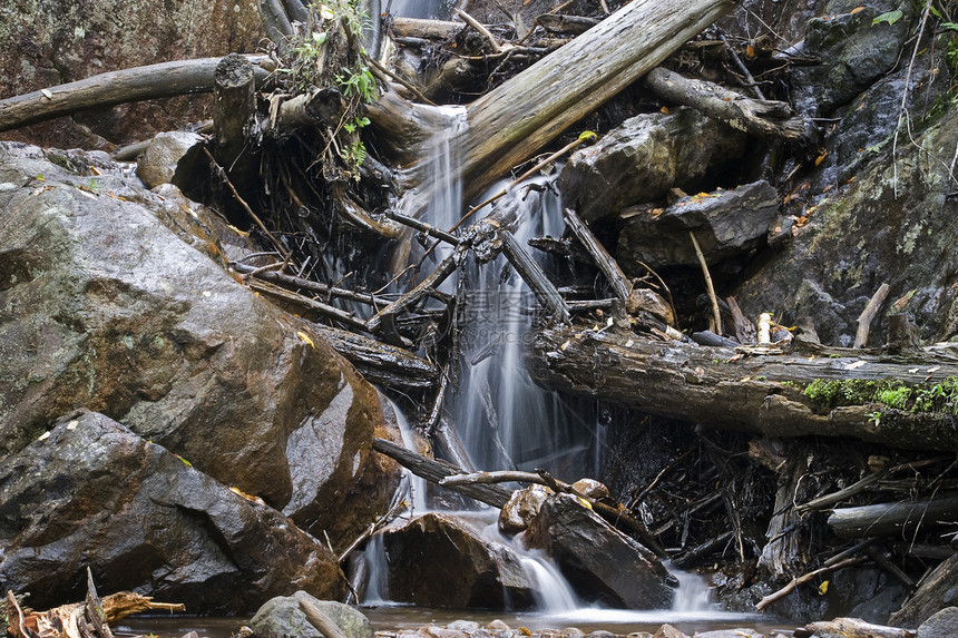 落岩瀑布流动巨石溪流环境森林荒野生态岩石石头树木图片