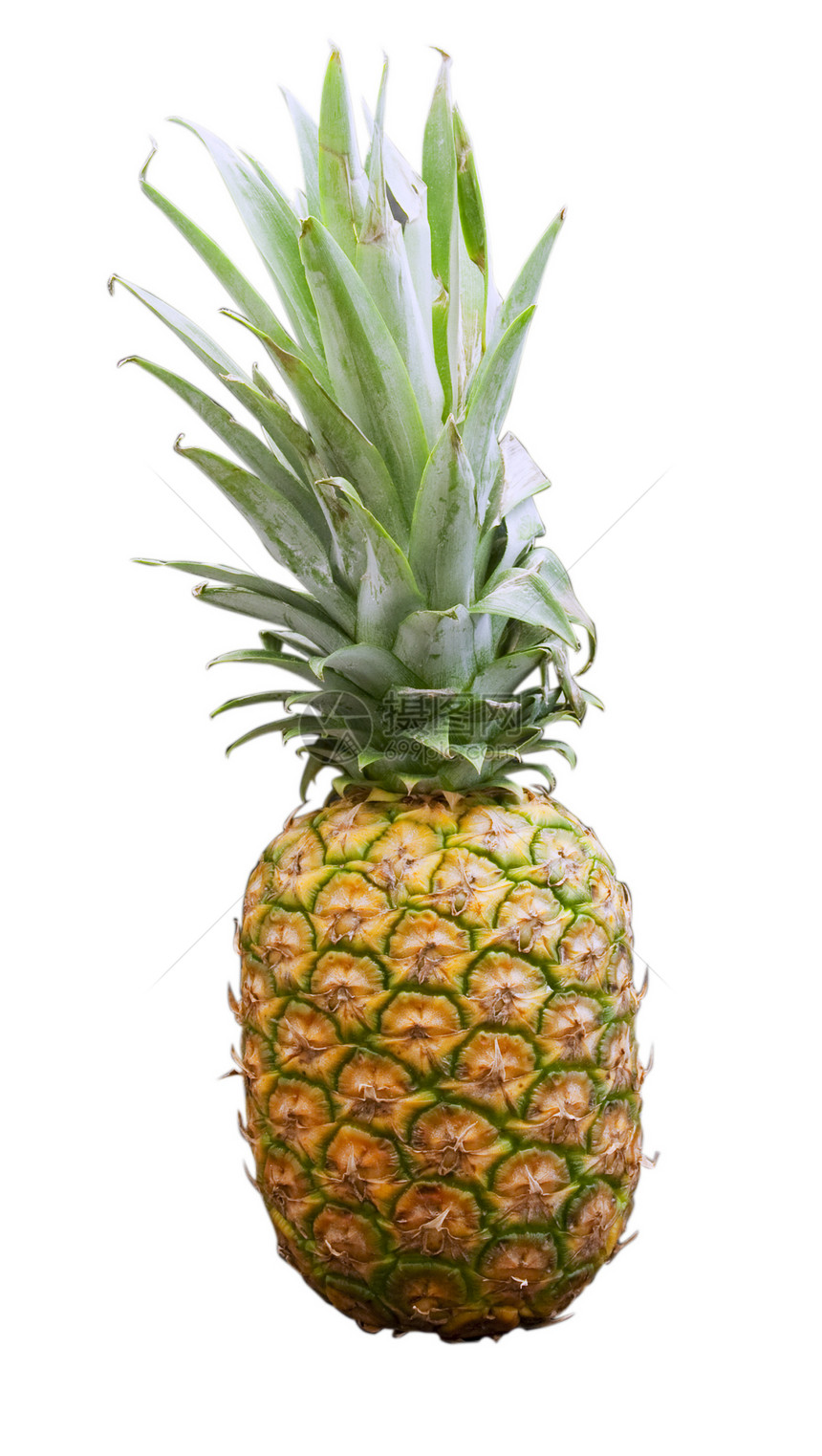 阿纳纳斯叶子健康菠萝食物甜点热带黄色图片