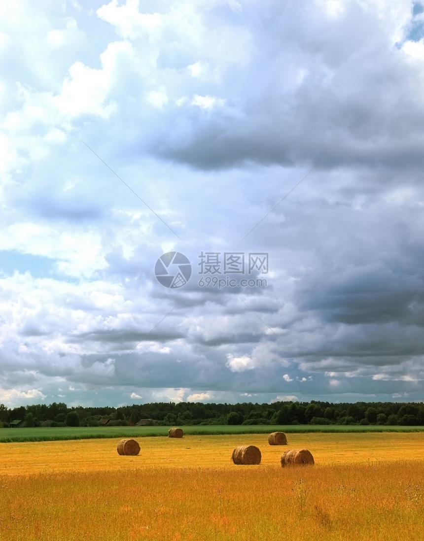 阳光明媚的夏日第2天时间收藏蓝色圆圈草垛玉米稻草季节场地城市图片