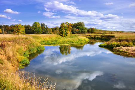 秋季河流 树木和灌树景观背景图片