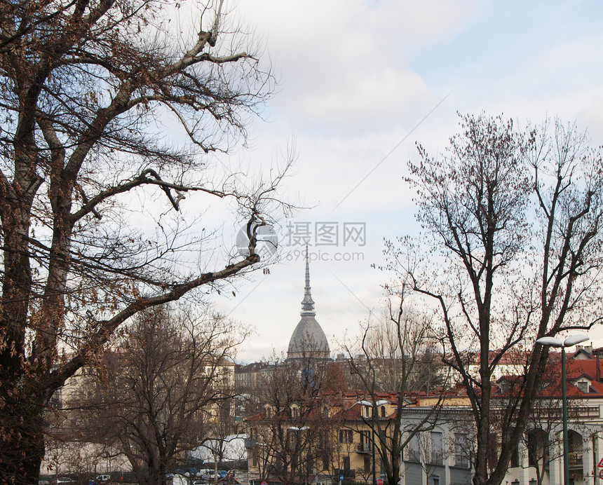 都灵视图全景天线天际爬坡中心鸟眼城市图片