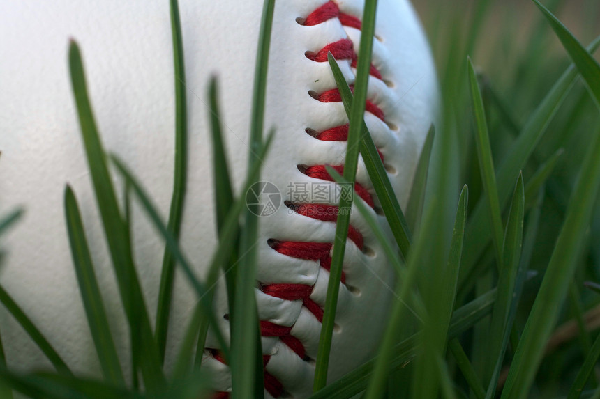 在草地上特写棒球图片