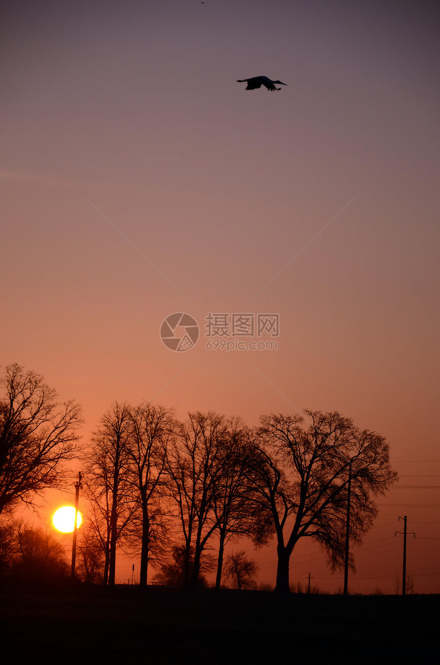 令人难忘的春天夕阳图片