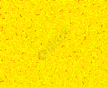黄单元格背景图片