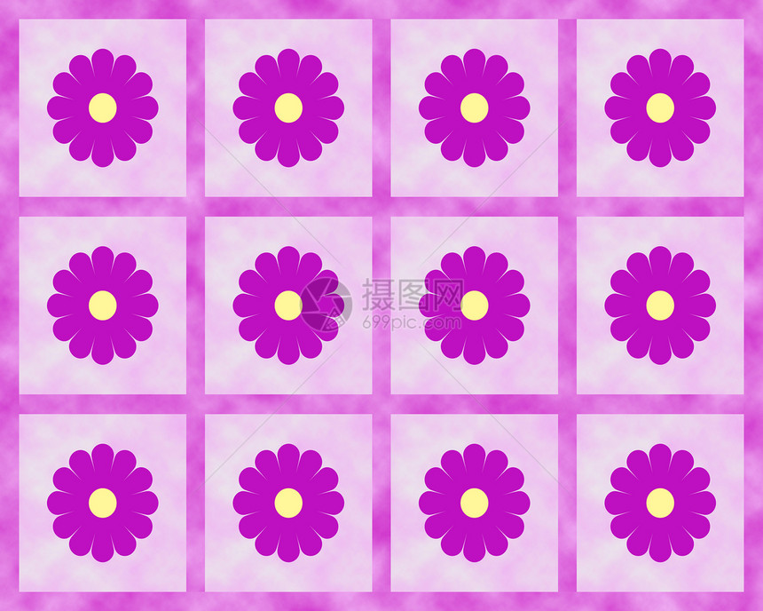 紫花方图片