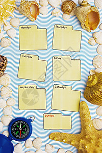 本周的日历日记旅行教育贝壳海星蓝色调度罗盘背景图片