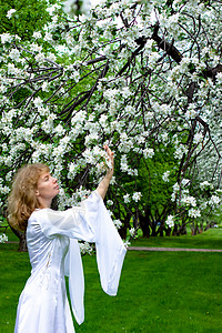 白娘子和白花苹果树女士树林草地传奇小精灵神话故事女性花园背景图片