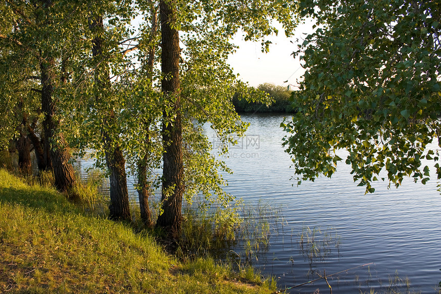 湖边的日落太阳晴天树木图片