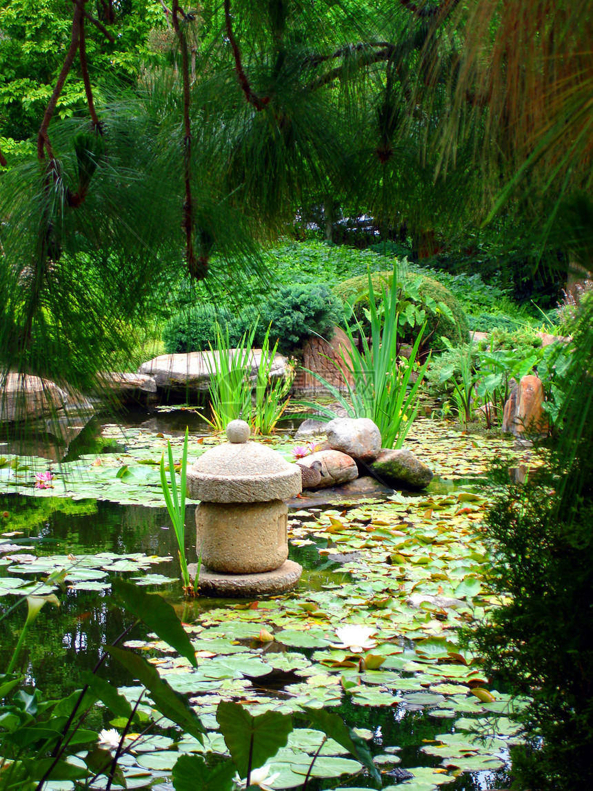 日本日本水花园绿色树叶岩石荷花池塘百合绿色植物宝塔植物石头图片