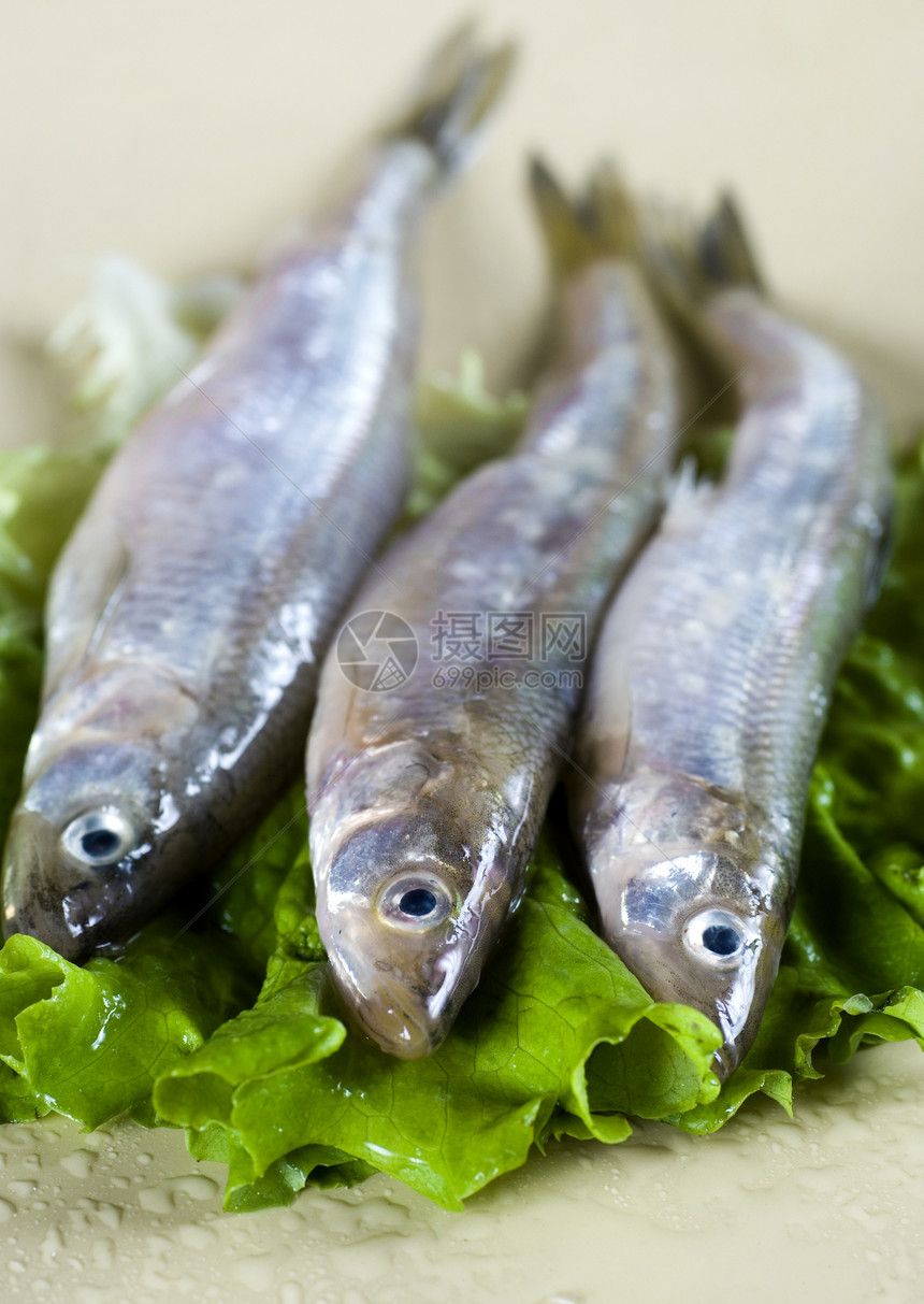 熔溶团体文化沙拉眼睛盘子食物小吃海鲜尾巴冶炼图片