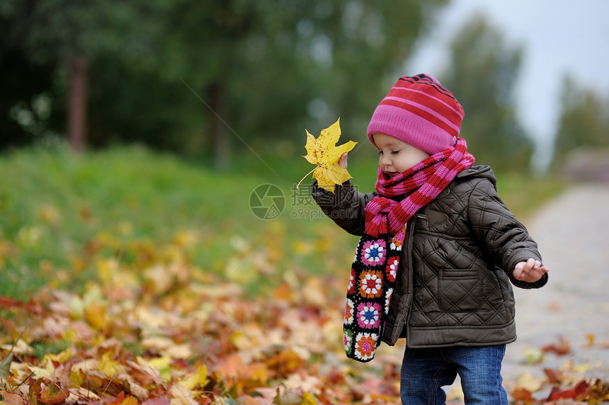 秋天公园的小宝宝快乐幸福婴儿围巾叶子夹克眼睛帽子女儿季节图片