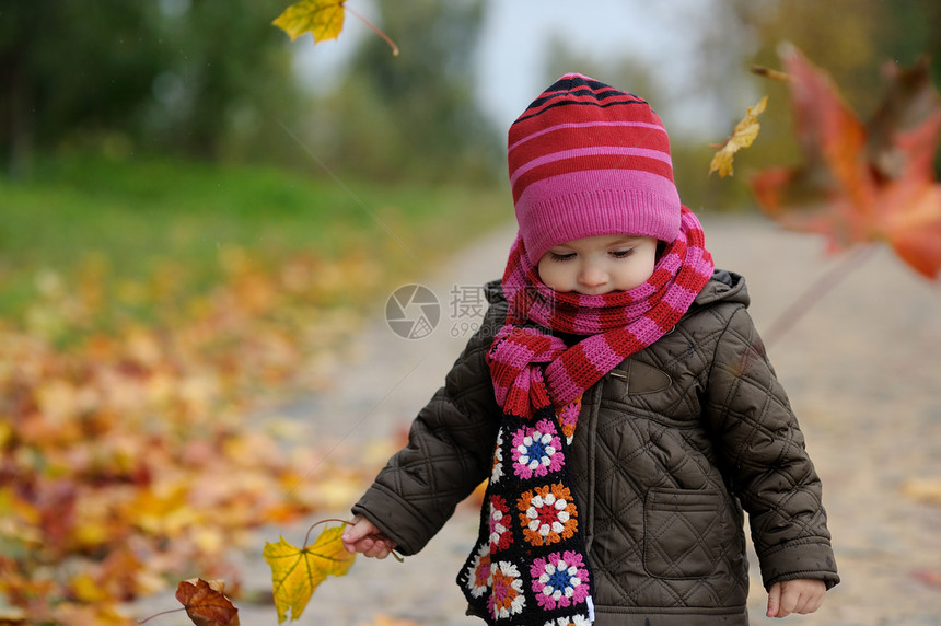秋天公园的小宝宝帽子树叶胡同童年女孩围巾孩子季节眼睛快乐图片