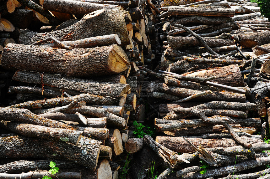 木柴分支机构樵夫森林木工生态材料木材树干燃料工业图片