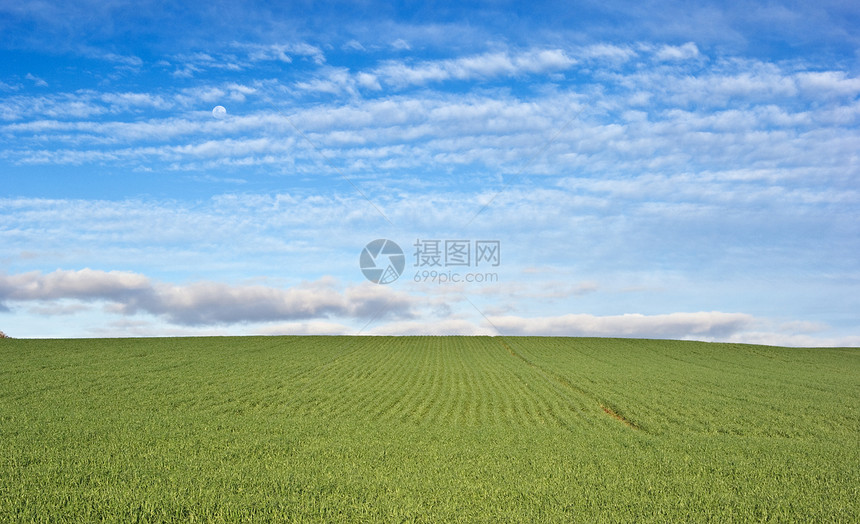 绿地和蓝天空农业场景场地农场国家草地乡村生长图片