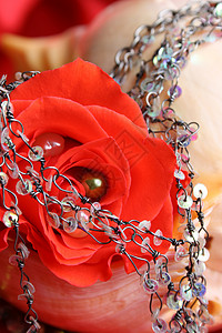 红玫瑰珍珠花瓣贝壳红色手镯配件珠饰细绳首饰玫瑰珠子背景图片
