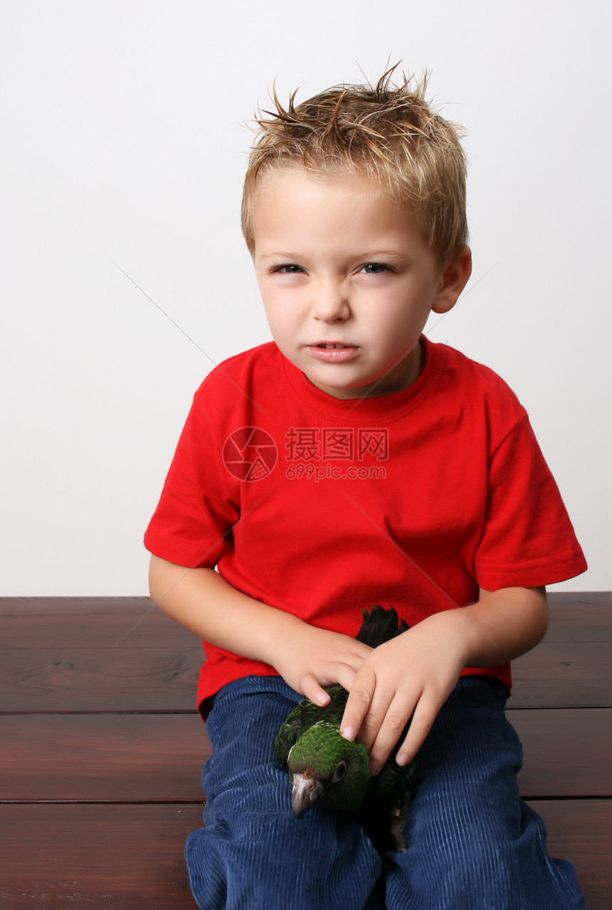 美丽的男孩金发鹦鹉宠物孩子白色儿童儿子衬衫红色男生图片