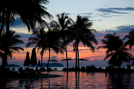 拉古纳查萨酒店热带酒店晚间闲暇长椅棕榈热带酒店海滩日落水池休闲天空背景