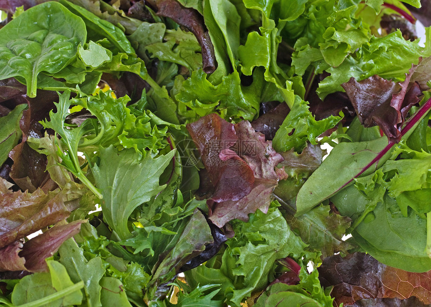导出背景蔬菜绿色树叶沙拉叶子营养图片