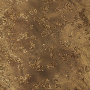 化石绘画圆形插图作品桌面细胞考古学墙纸背景图片