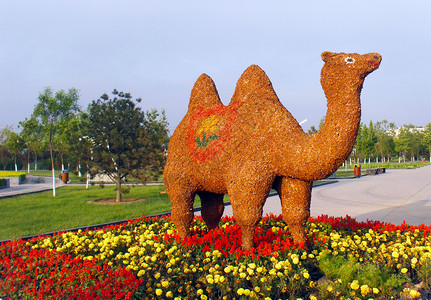 黄泥骆驼骆驼雕塑群高清图片