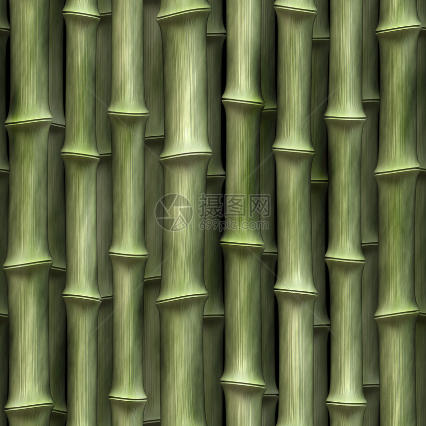 竹竹背景木头花园热带竹子森林图片