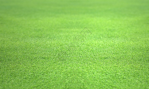 绿绿色照片果岭草地高尔夫球草皮背景图片