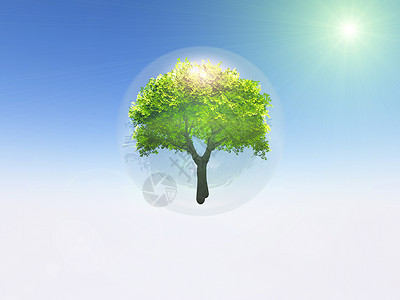 在树的泡泡中生态环境绿色叶子背景图片